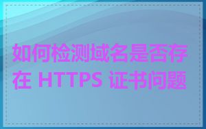 如何检测域名是否存在 HTTPS 证书问题