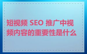 短视频 SEO 推广中视频内容的重要性是什么