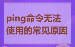 ping命令无法使用的常见原因