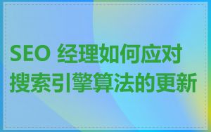 SEO 经理如何应对搜索引擎算法的更新