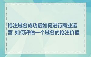 抢注域名成功后如何进行商业运营_如何评估一个域名的抢注价值