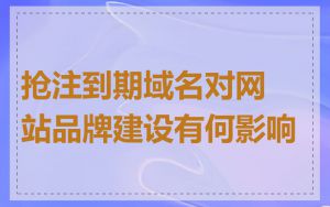 抢注到期域名对网站品牌建设有何影响
