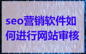 seo营销软件如何进行网站审核