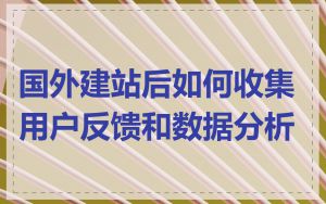 国外建站后如何收集用户反馈和数据分析