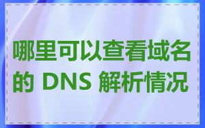 哪里可以查看域名的 DNS 解析情况