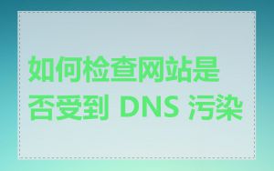 如何检查网站是否受到 DNS 污染