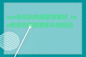 seo优化机构哪家效果好_seo优化机构需要多长时间见效