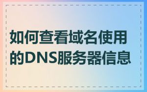 如何查看域名使用的DNS服务器信息