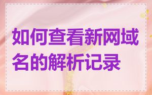 如何查看新网域名的解析记录