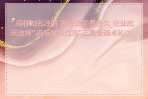 ".商标域名注册"的有效期是多久_企业应该选择".商标域名注册"还是普通域名注册