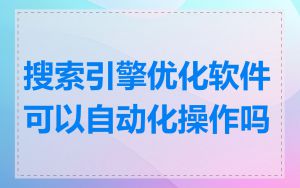 搜索引擎优化软件可以自动化操作吗