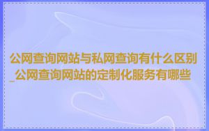 公网查询网站与私网查询有什么区别_公网查询网站的定制化服务有哪些