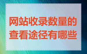 网站收录数量的查看途径有哪些
