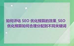 如何评估 SEO 优化预算的效果_SEO 优化预算如何合理分配到不同关键词
