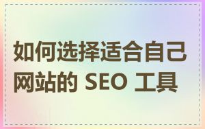 如何选择适合自己网站的 SEO 工具