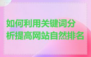 如何利用关键词分析提高网站自然排名