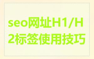 seo网址H1/H2标签使用技巧