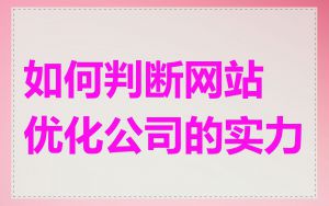 如何判断网站优化公司的实力