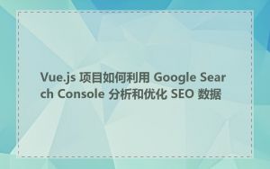 Vue.js 项目如何利用 Google Search Console 分析和优化 SEO 数据
