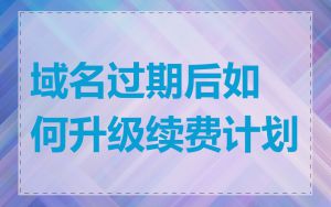 域名过期后如何升级续费计划