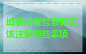 域名批量检索时应该注意哪些事项