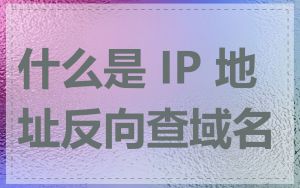 什么是 IP 地址反向查域名