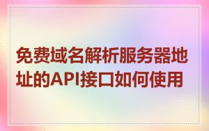 免费域名解析服务器地址的API接口如何使用