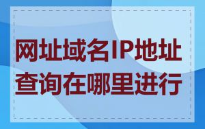 网址域名IP地址查询在哪里进行