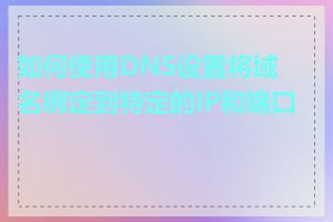 如何使用DNS设置将域名绑定到特定的IP和端口号