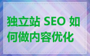 独立站 SEO 如何做内容优化