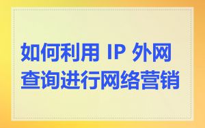 如何利用 IP 外网查询进行网络营销