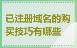 已注册域名的购买技巧有哪些