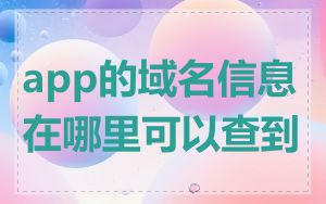 app的域名信息在哪里可以查到