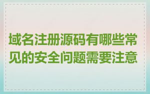 域名注册源码有哪些常见的安全问题需要注意