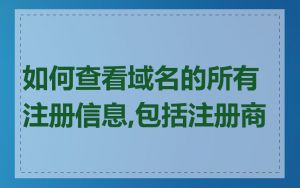 如何查看域名的所有注册信息,包括注册商