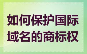 如何保护国际域名的商标权