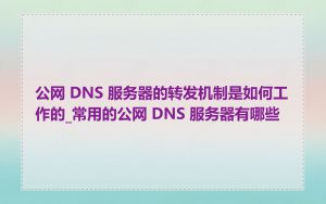 公网 DNS 服务器的转发机制是如何工作的_常用的公网 DNS 服务器有哪些