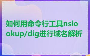 如何用命令行工具nslookup/dig进行域名解析