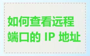 如何查看远程端口的 IP 地址