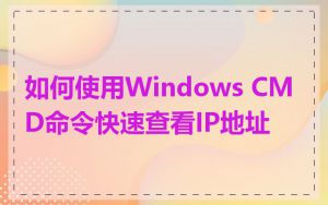如何使用Windows CMD命令快速查看IP地址