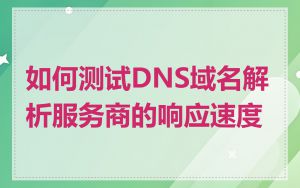 如何测试DNS域名解析服务商的响应速度