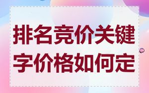 排名竞价关键字价格如何定