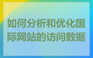 如何分析和优化国际网站的访问数据