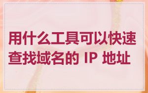 用什么工具可以快速查找域名的 IP 地址