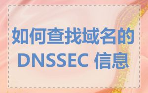 如何查找域名的 DNSSEC 信息