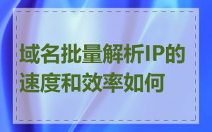 域名批量解析IP的速度和效率如何