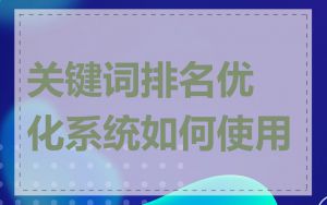 关键词排名优化系统如何使用