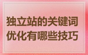 独立站的关键词优化有哪些技巧