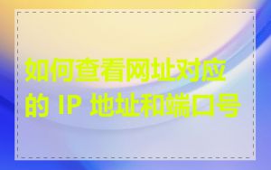 如何查看网址对应的 IP 地址和端口号