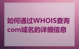 如何通过WHOIS查询com域名的详细信息